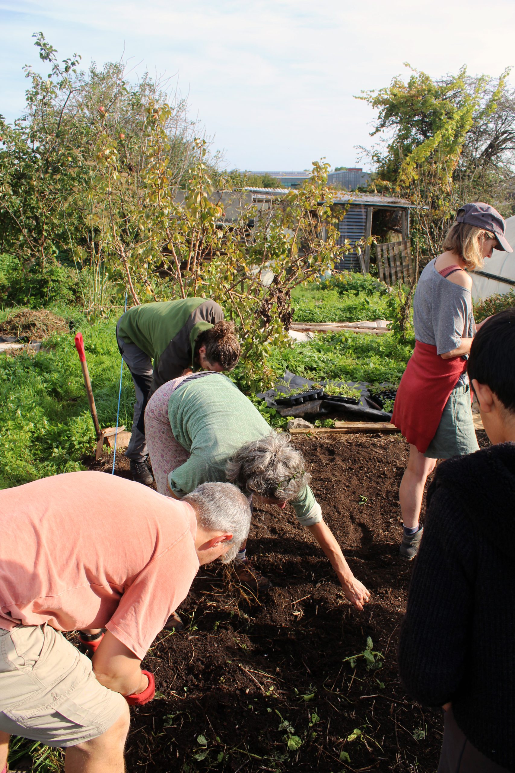 Bristol City Council Consultation on Allotment Rules